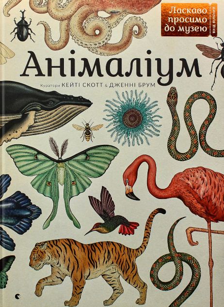 Анімаліум