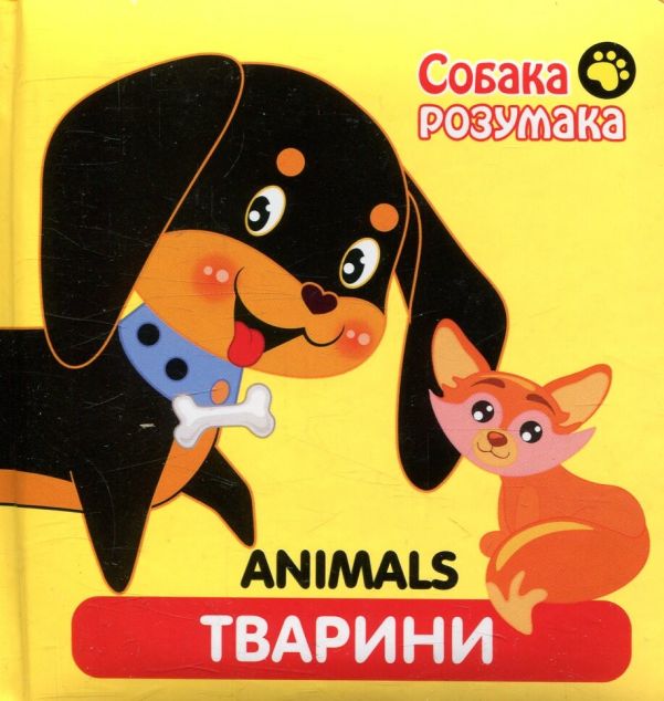 Animals. Тварини. Собака розумака
