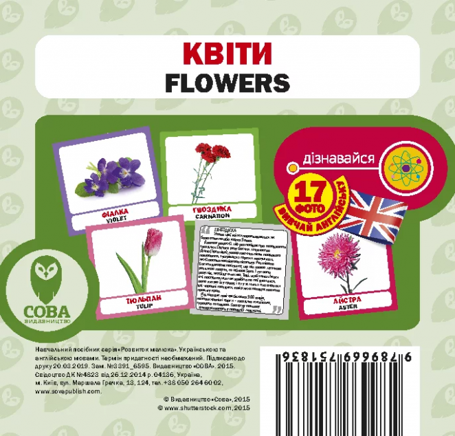 Квіти. 17 карток англійською