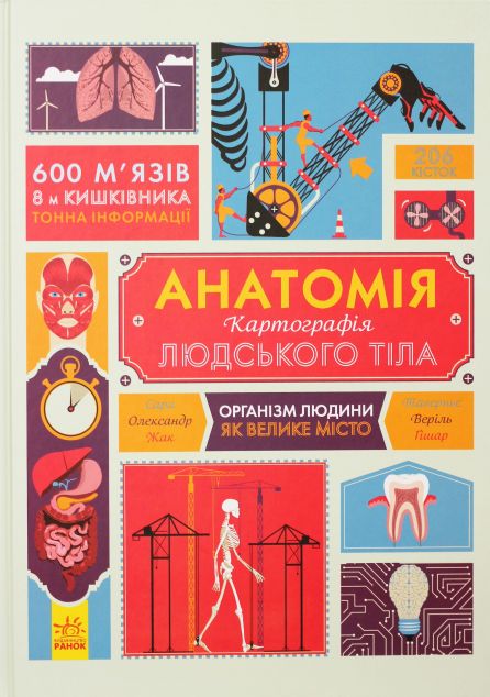 Крутезна інфографіка. Анатомія