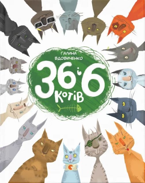 36 і 6 котів