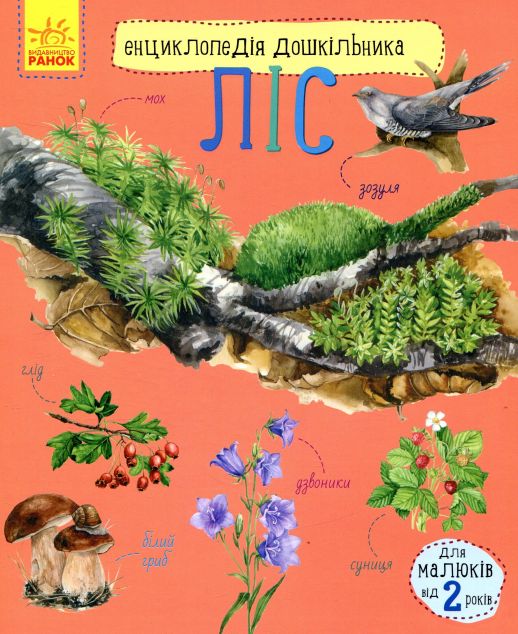 Ліс