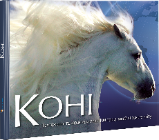 Коні