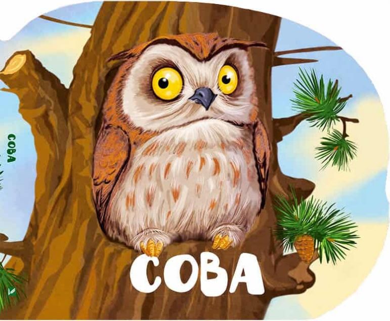 Сова (Лісові звірятка)