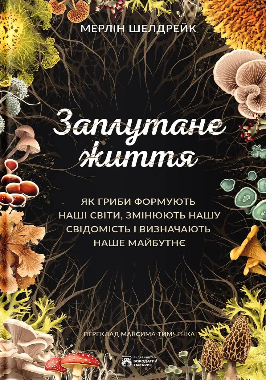 Заплутане життя - Vivat