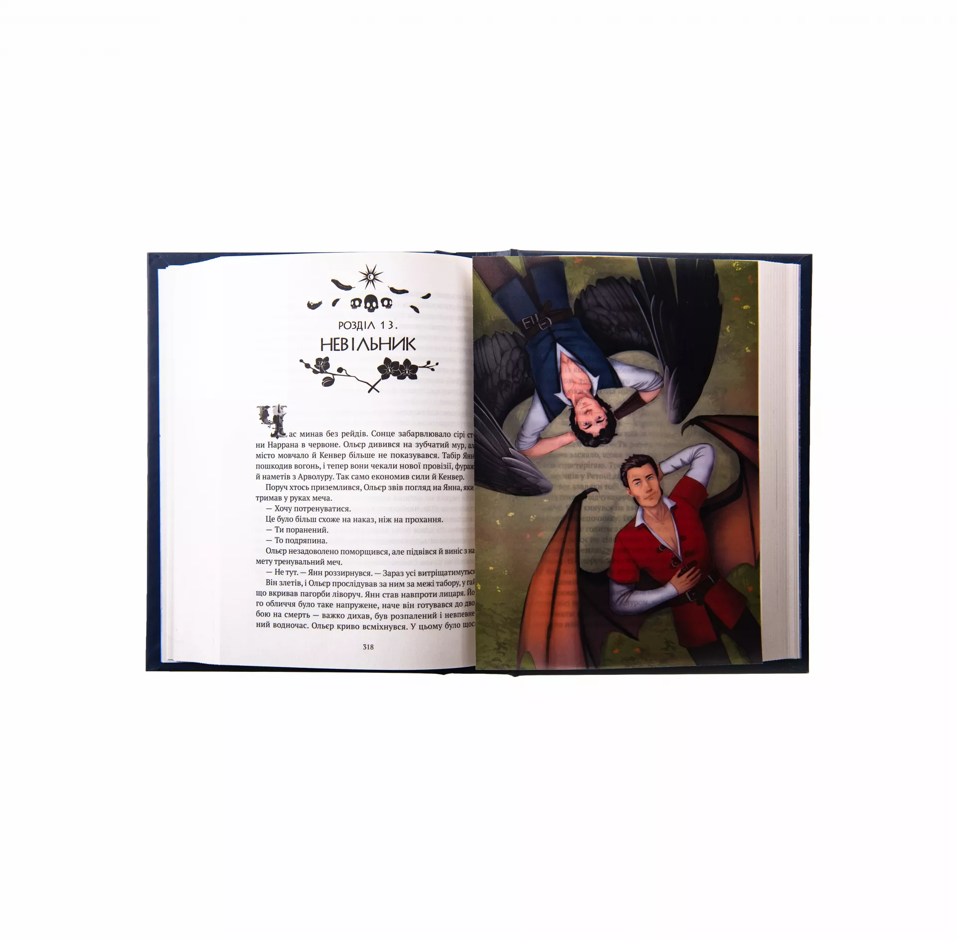 Книжковий бокс «Зірки й кістки» - Vivat