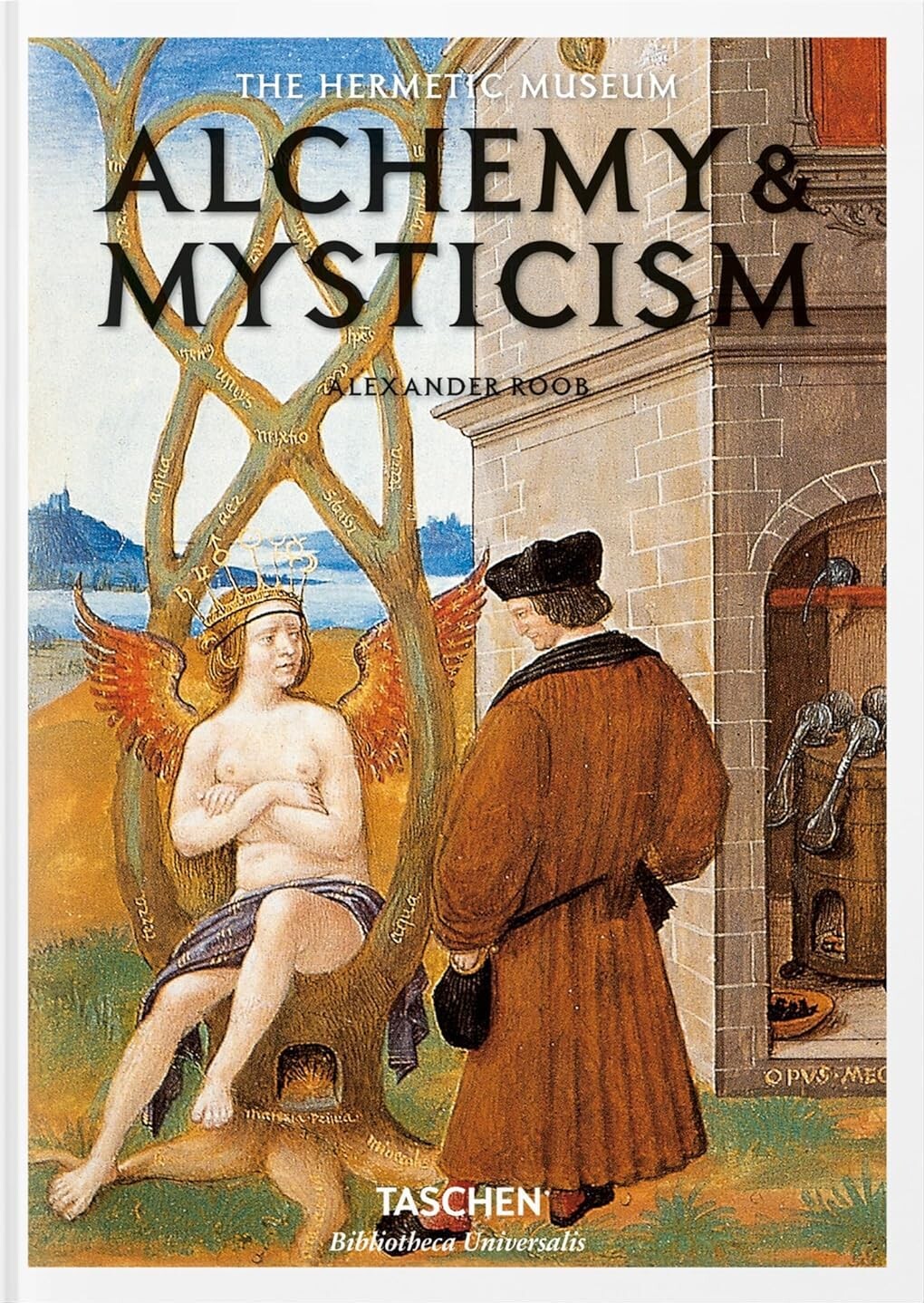 Alchemy & Mysticism (Bibliotheca Universalis) - Vivat