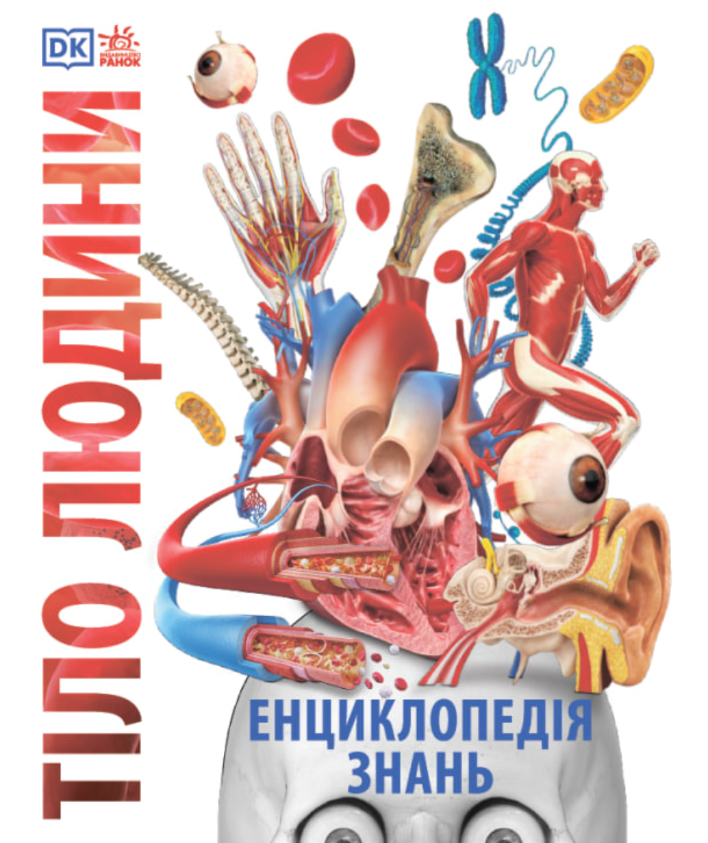 Енциклопедія знань. Тіло людини - Vivat