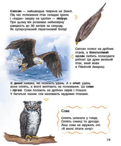 Енциклопедія дошкільника. Птахи - Vivat