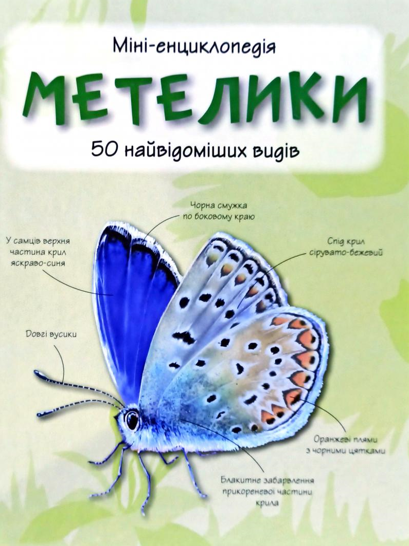 Метелики. 50 найвідоміших видів. Міні-енциклопедія - Vivat