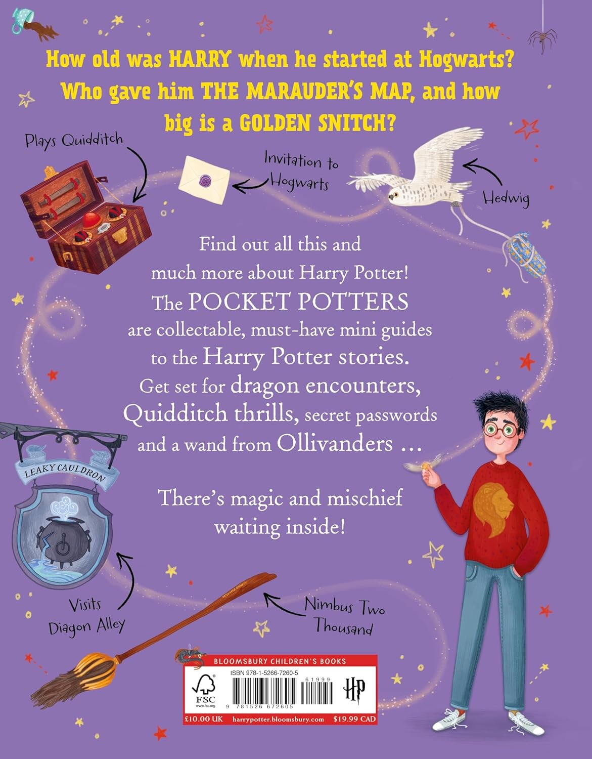 Pocket Potters. Harry Potter - Vivat