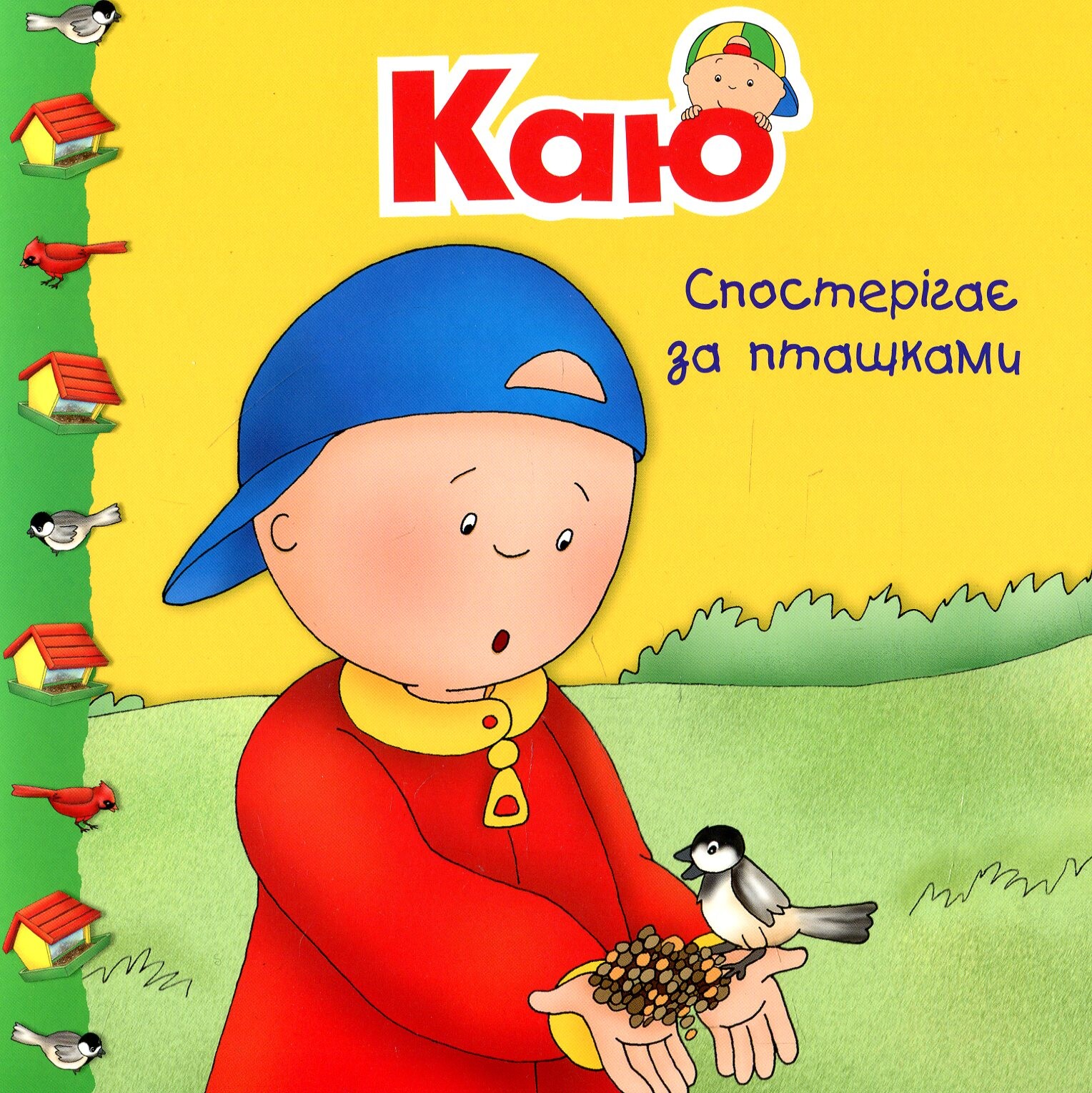 Каю спостерігає за пташками - Vivat