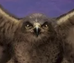 Земномор'я - Vivat