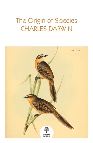 The Origin of Species The Origin of Species - Vivat