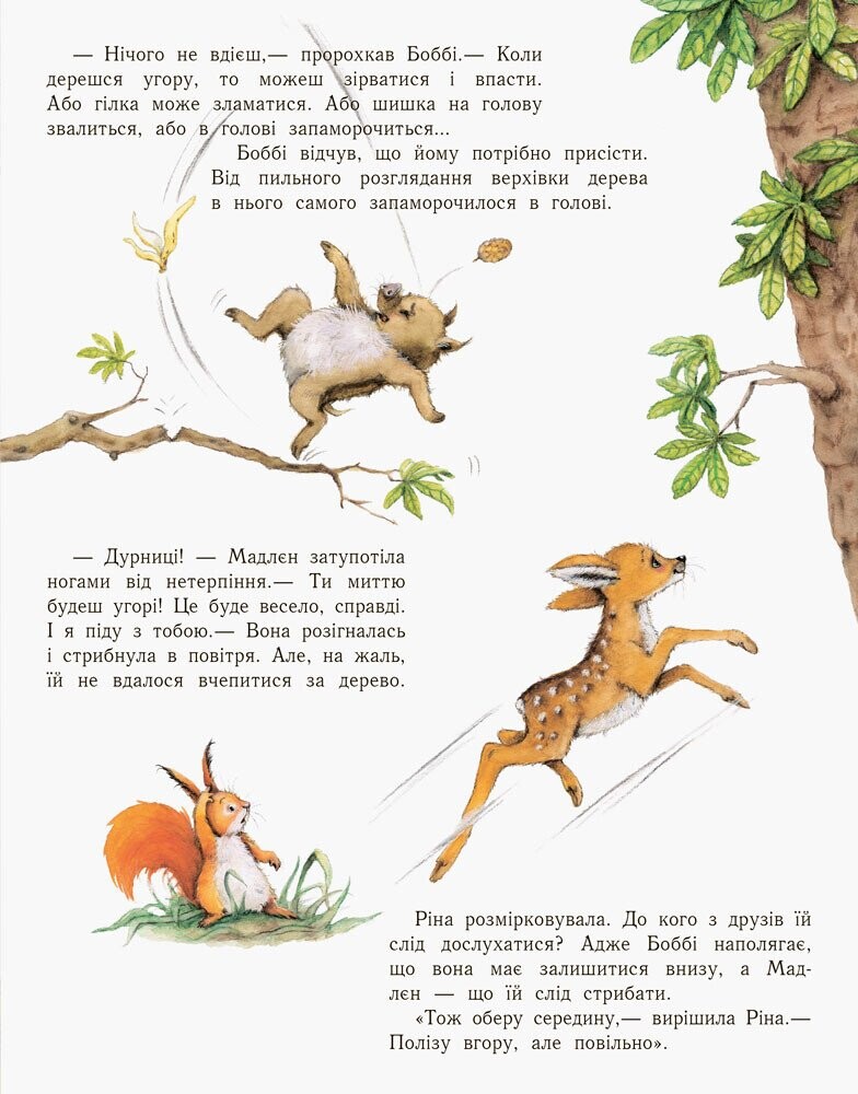Пригоди з лабіринтами. Справжня відважна білка завжди знайде шлях - Vivat