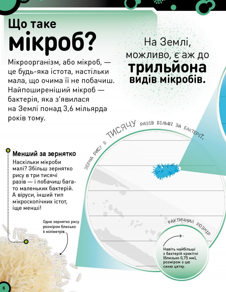 Небачені бактерії. Зухвалі бацили, підступні віруси та хитрі гриби - Vivat