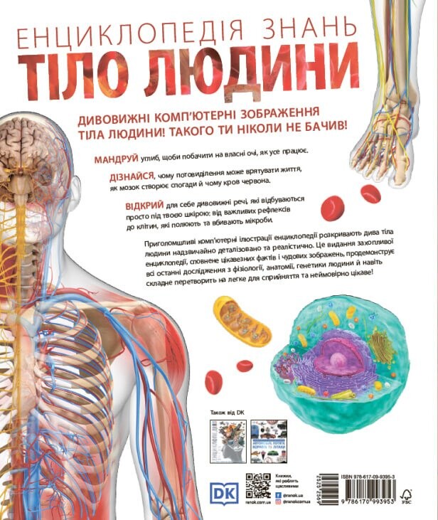Енциклопедія знань. Тіло людини - Vivat