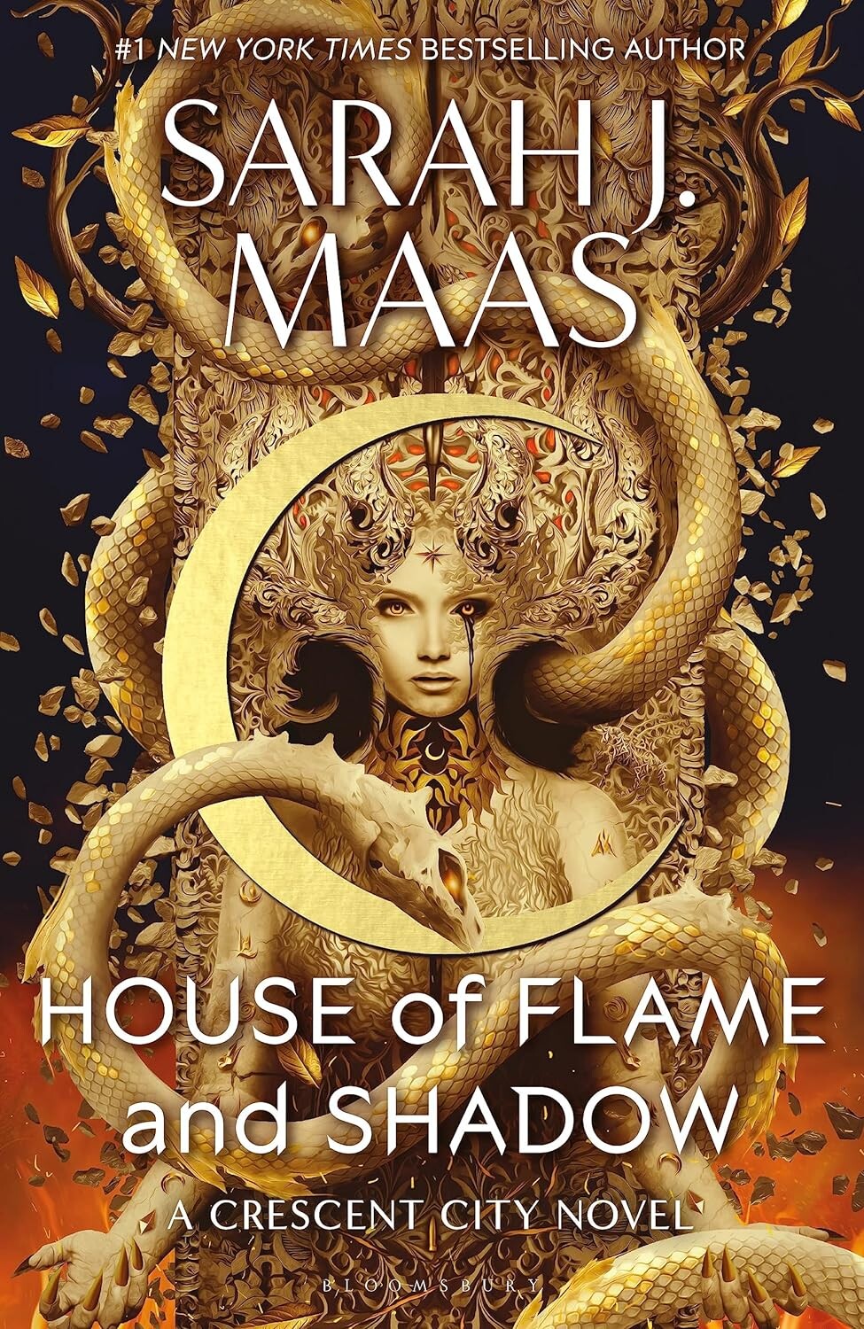 House of Flame and Shadow (Paperback Edition) - Vivat