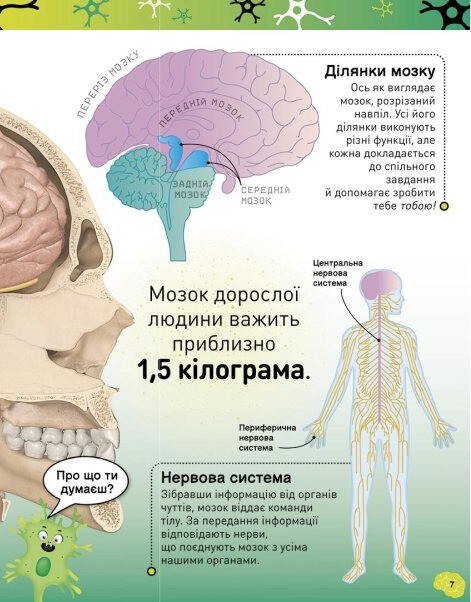 Карколомний мозок - Vivat