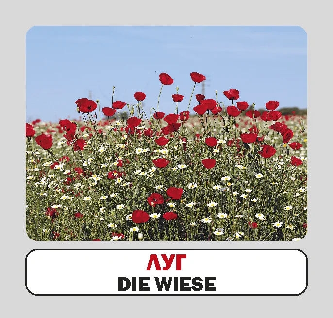 Пори року / Die jahreszeiten. 17 карток - Vivat