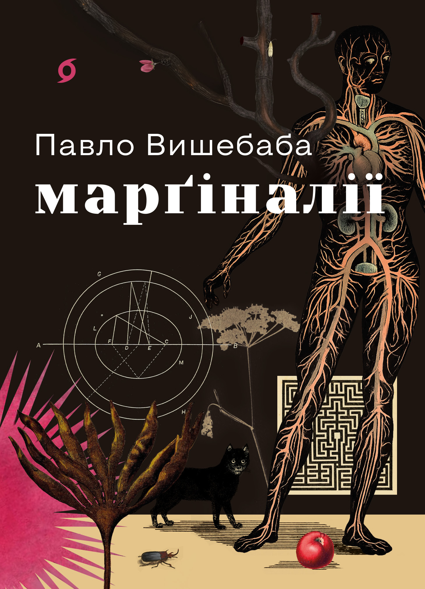 Марґіналії - Vivat