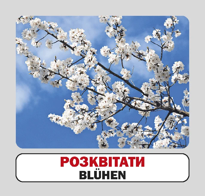 Пори року / Die jahreszeiten. 17 карток - Vivat