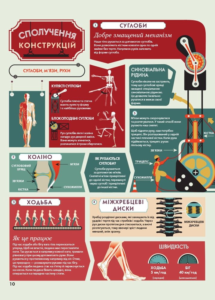 Крутезна інфографіка. Анатомія - Vivat