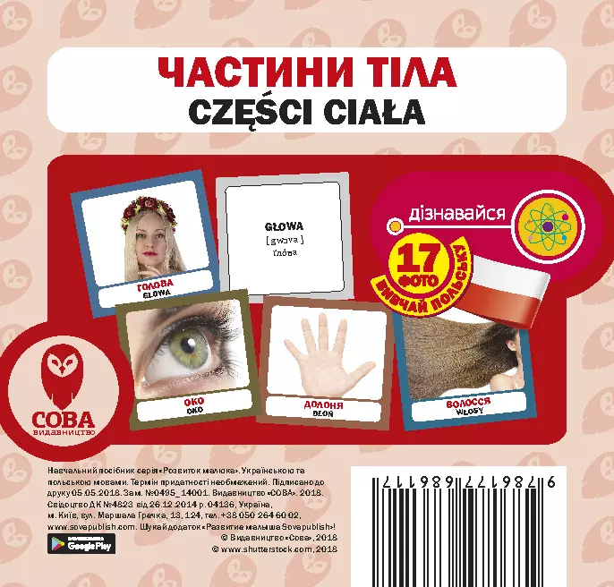 Частини тіла. 17 карток польською - Vivat