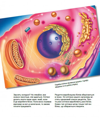 Генетика для дітей. Дивовижний світ клітин - Vivat