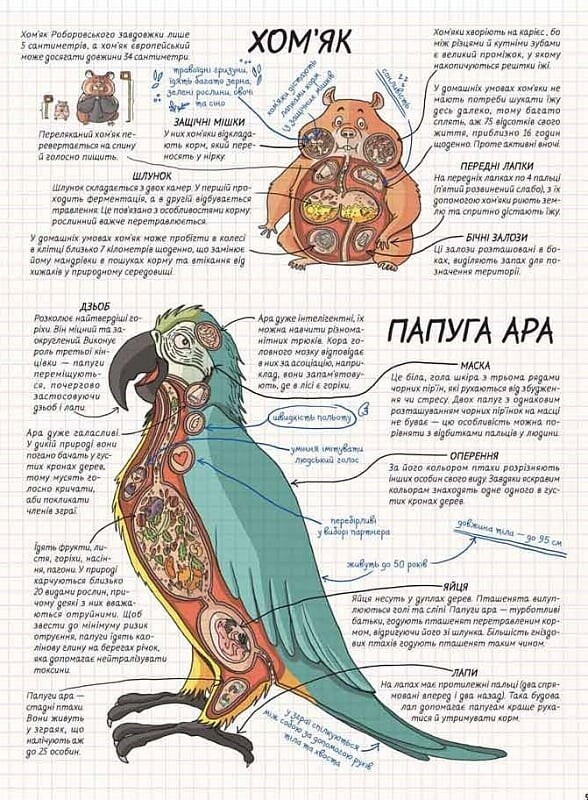 Тварини. Як це працює? - Vivat