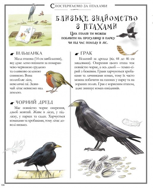 Boys’ Book. Підручник відважного мандрівника - Vivat