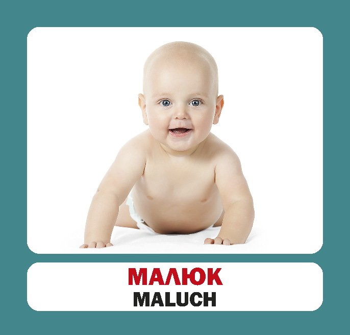 Сім'я / Rodzina. 17 карток - Vivat