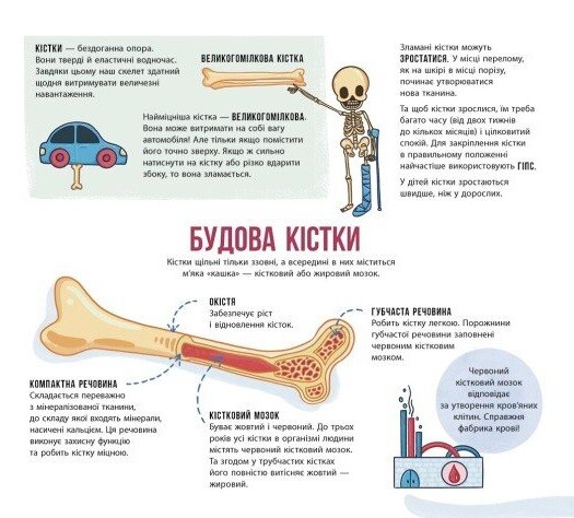 Скелети і кістки - Vivat