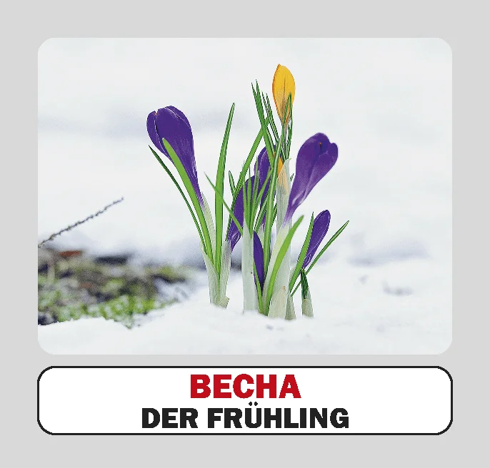 Пори року / Die jahreszeiten. 17 карток - Vivat