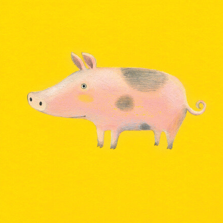 Тварини з ферми. Farm animals - Vivat
