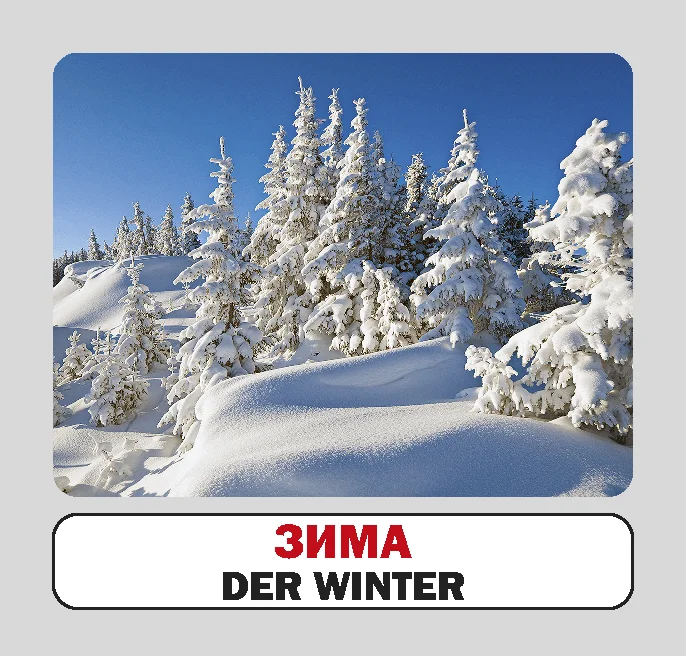 Пори року / Die jahreszeiten. 17 карток - Vivat