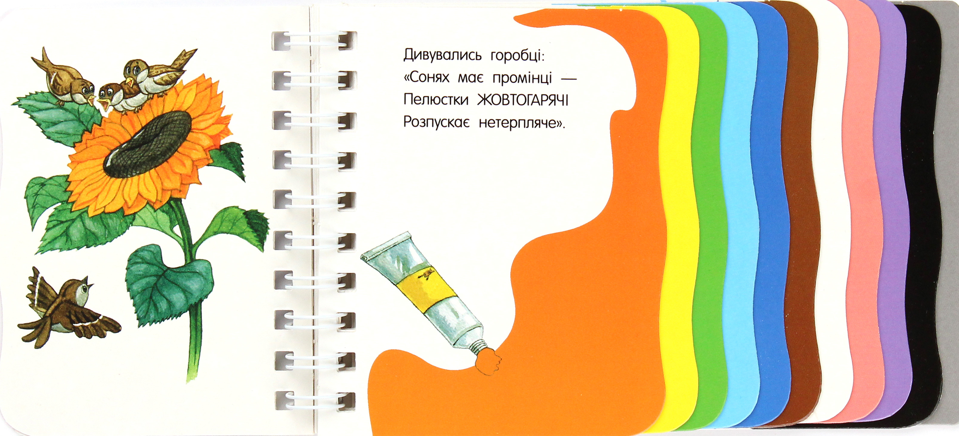 Кольори - Vivat