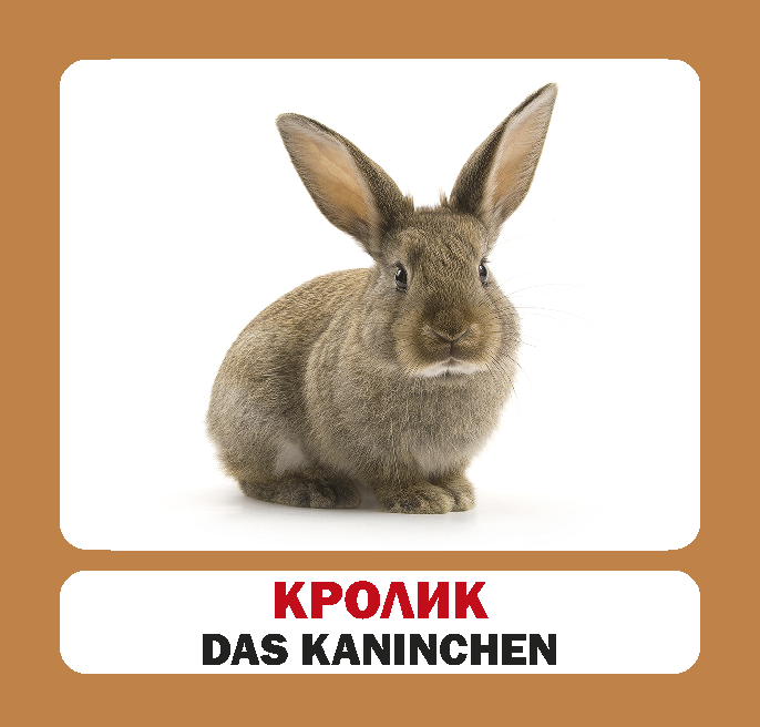 Домашні тварини / Die Haustiere. 17 карток - Vivat