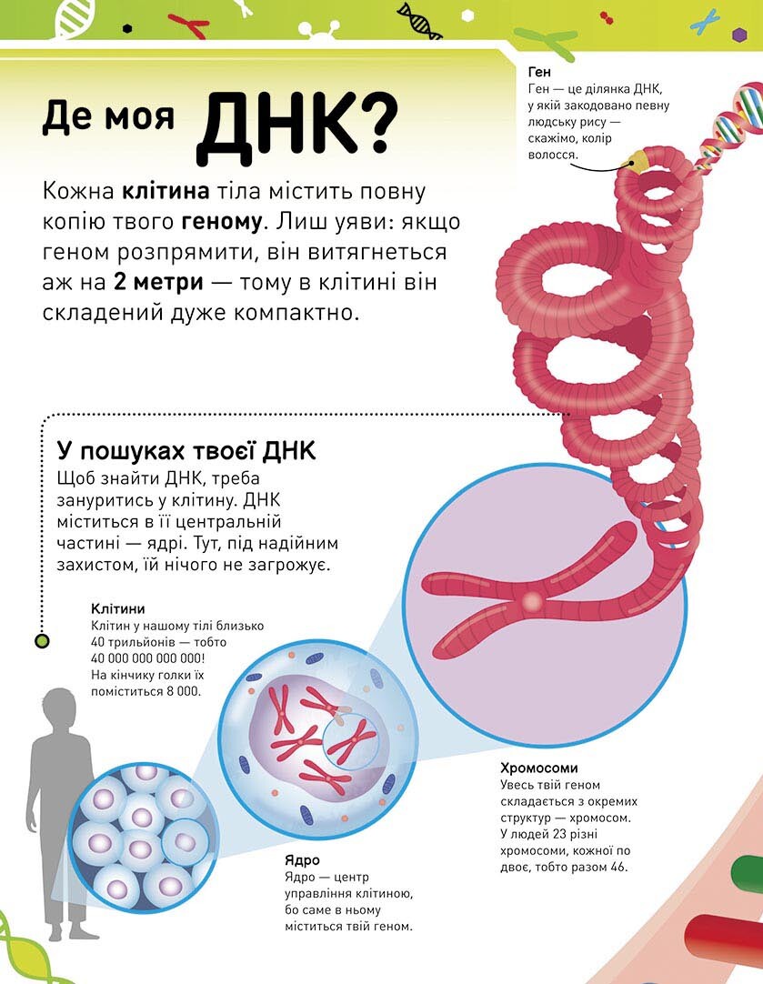 Надзвичайна ДНК - Vivat