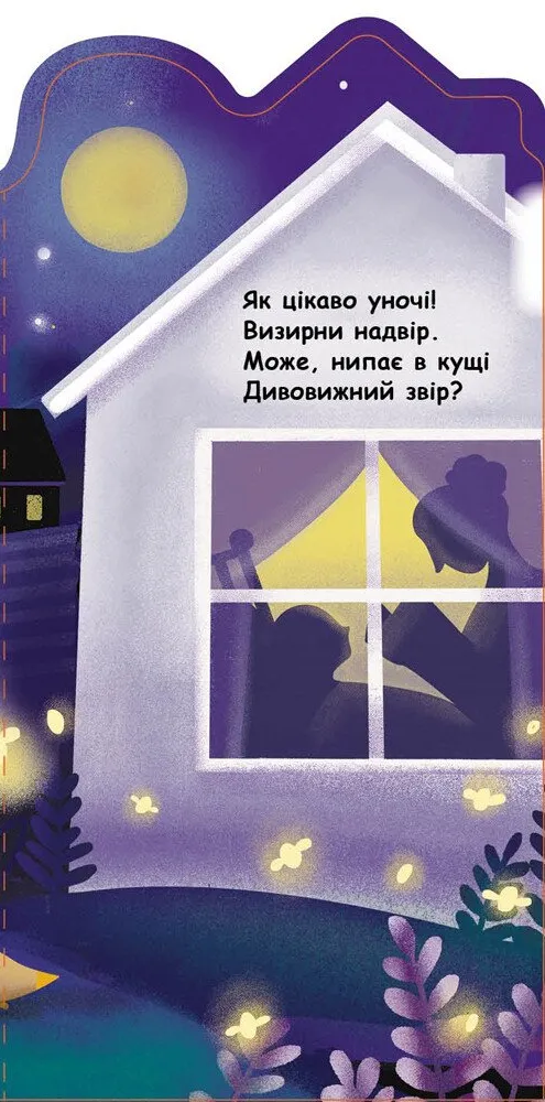 Що відбувається навколо? Вночі - Vivat
