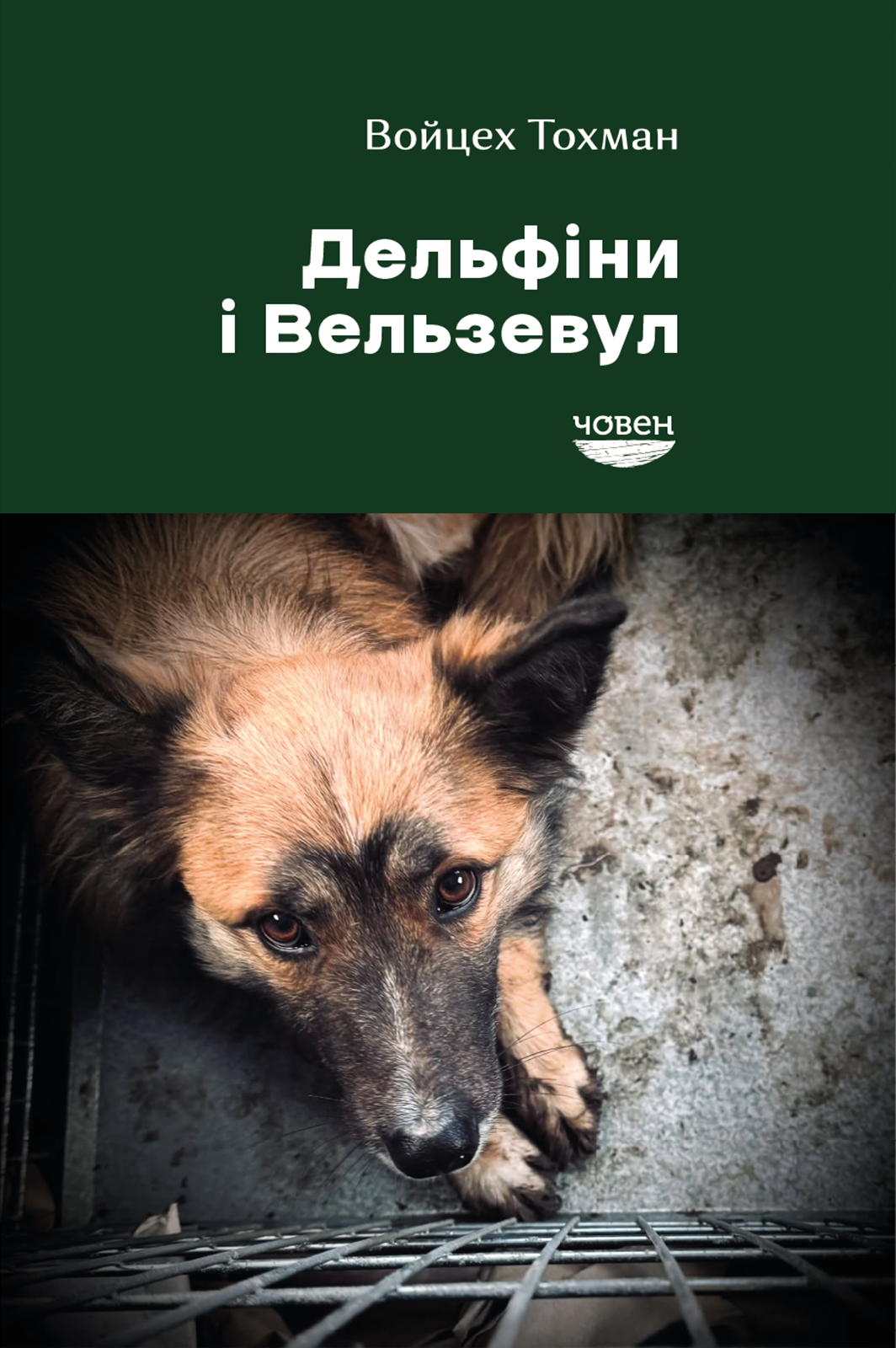 Дельфіни і Вельзевул - Vivat