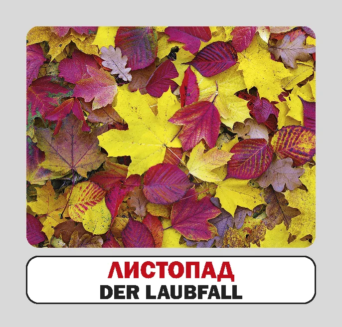 Пори року / Die jahreszeiten. 17 карток - Vivat