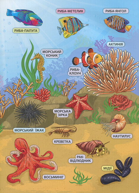 Енциклопедія з наліпками. Мешканці морів та океанів - Vivat