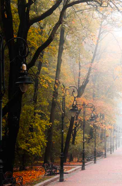 Lviv. Travel Guide - Vivat