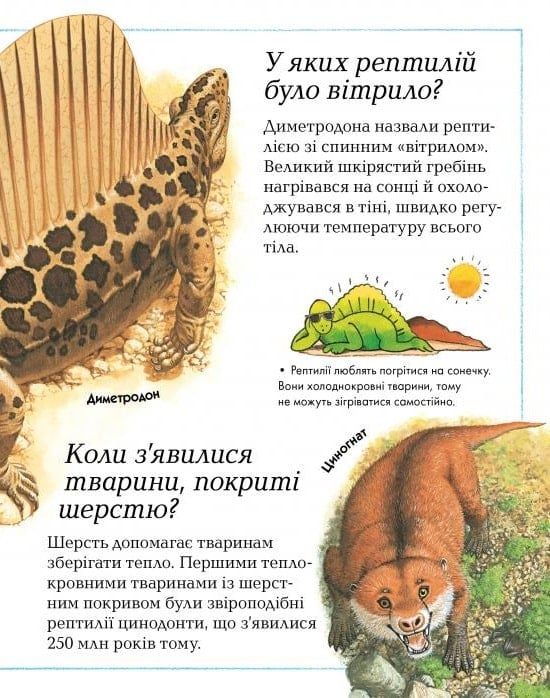 Де, що і коли? - Vivat