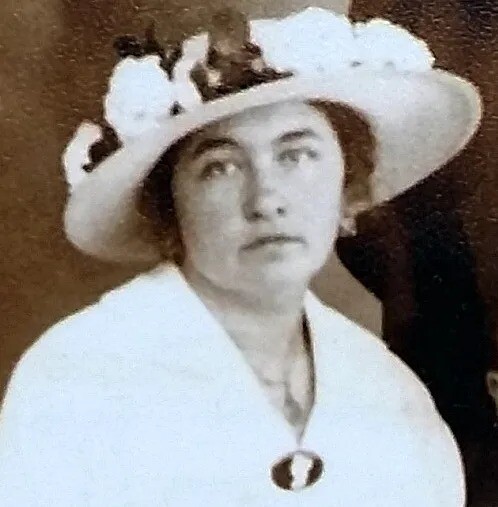 Сидонія Гнідий - Vivat