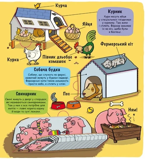 Маленькі дослідники. Ферма - Vivat