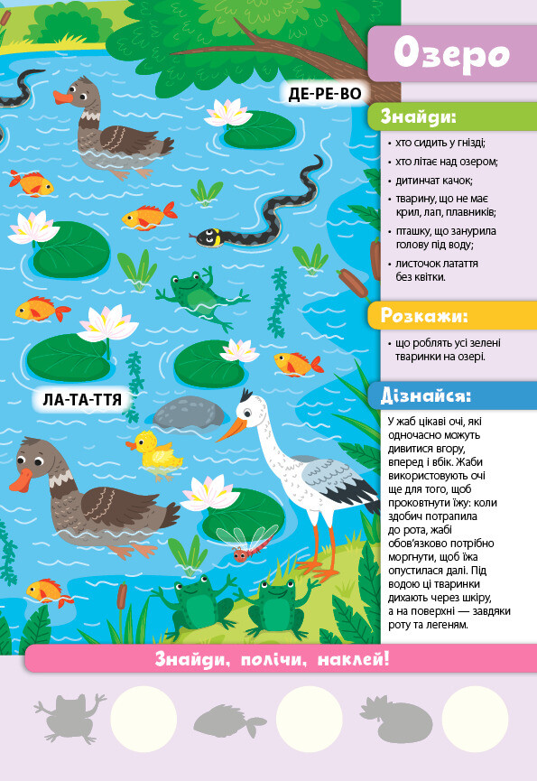 Знайди! Прочитай! Полічи! Лісова родина - Vivat