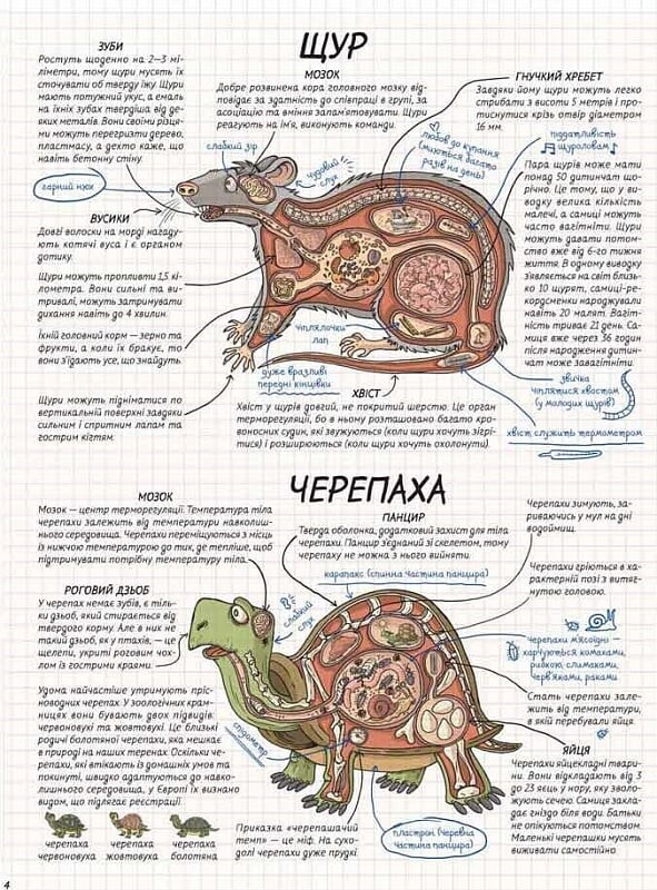 Тварини. Як це працює? - Vivat