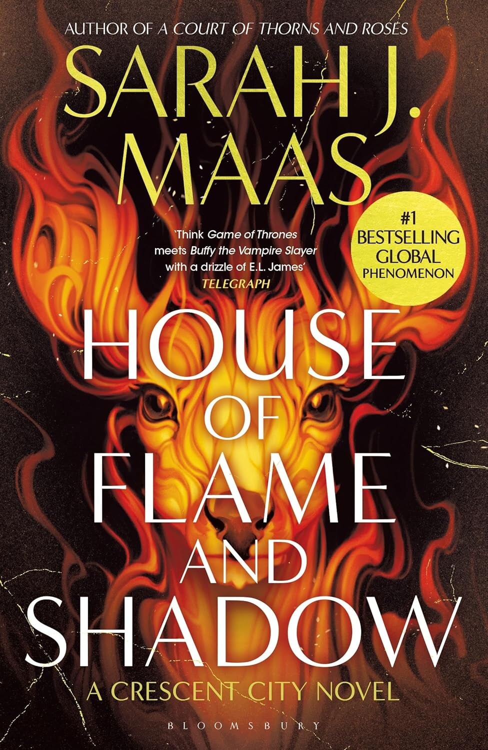 House of Flame and Shadow (Bestseller Paperback) - Vivat
